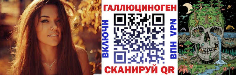 Галлюциногенные грибы Psilocybe  продажа наркотиков  Салаир 